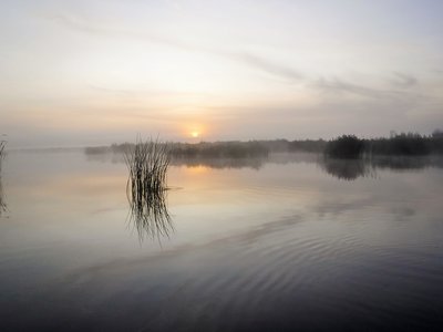 DSCF6602.JPG