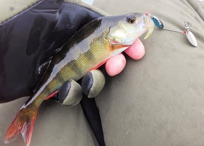20190930_114329.jpg