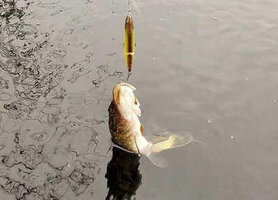 20190930_110554.jpg