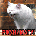 64559671_64377335_smeh[1].gif