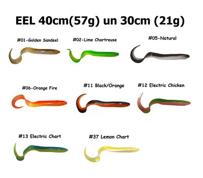 EEL ALL.jpg